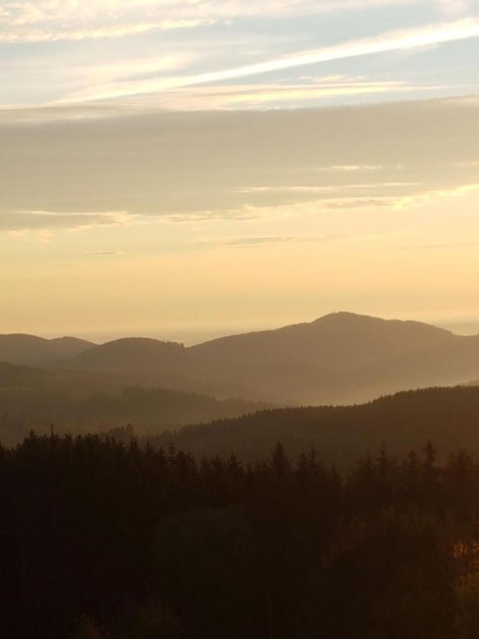 Ferienwohnung Haus Ruhrkopfblick Winterberg Esterno foto